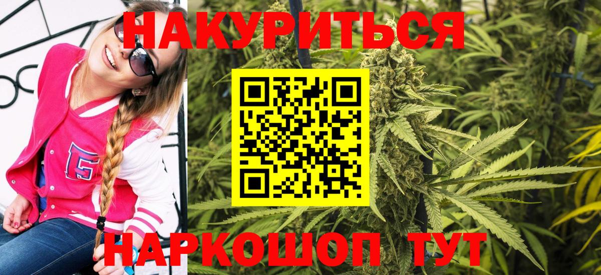 Бошки Шишки сатива  Вход с VPN  Конопля сатива  Нерюнгри 
